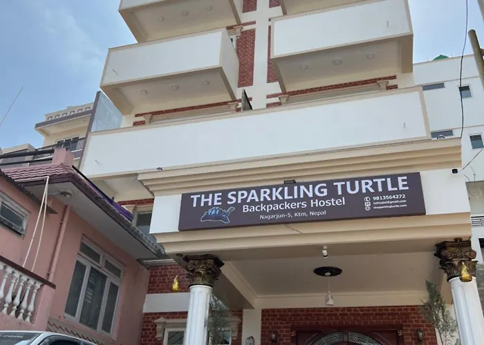 Hostel The Sparkling Turtle Backpackers