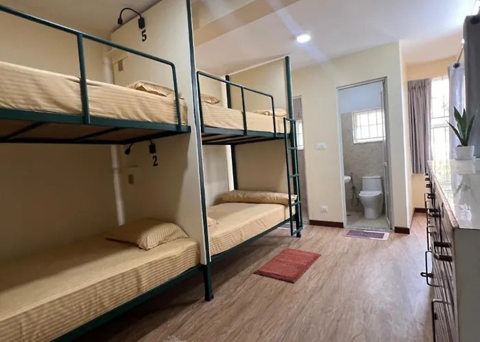 Hostel The Sparkling Turtle Backpackers *
