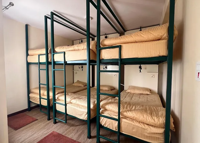 Hostel The Sparkling Turtle Backpackers *