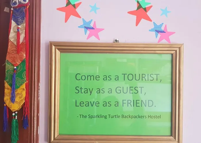 The Sparkling Turtle Backpackers Hostel