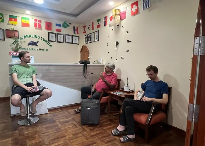 Hostel The Sparkling Turtle Backpackers