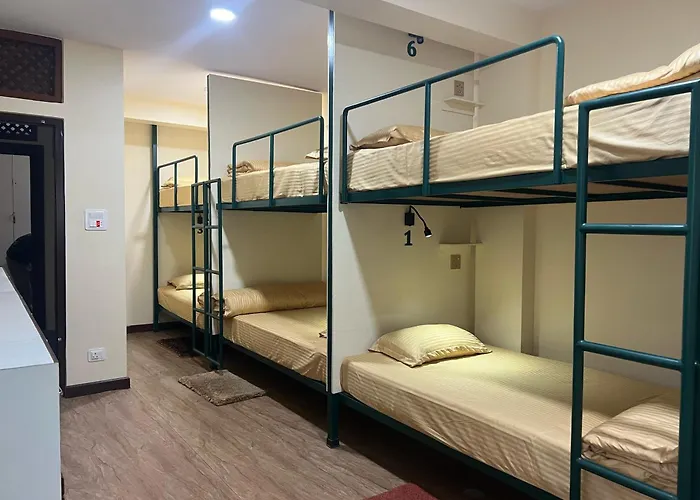 Hostel The Sparkling Turtle Backpackers *
