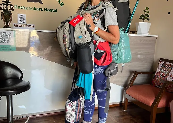 The Sparkling Turtle Backpackers *
