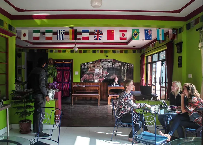 Hostel The Sparkling Turtle Backpackers