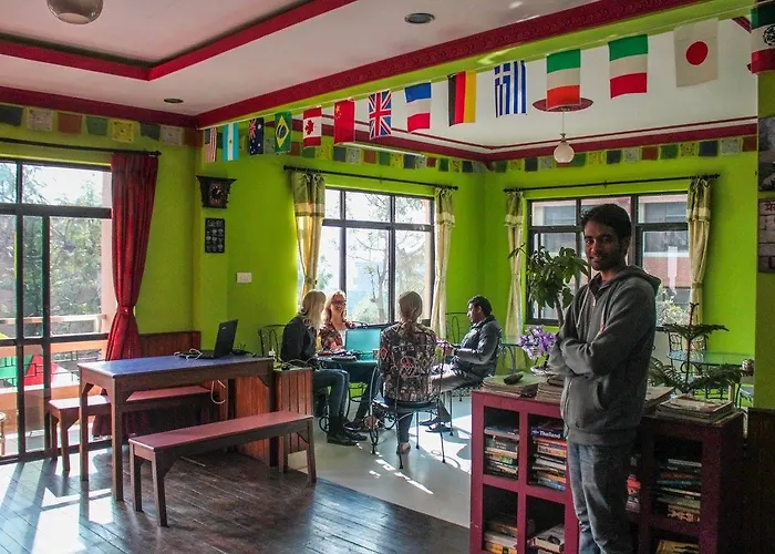 Hostel The Sparkling Turtle Backpackers
