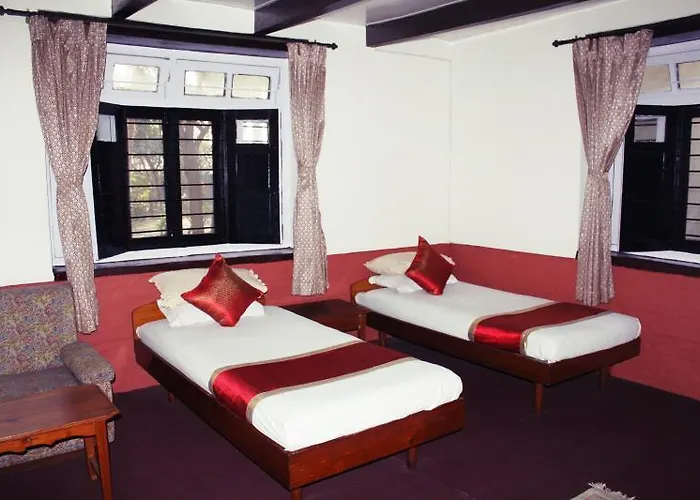The Sparkling Turtle Backpackers *