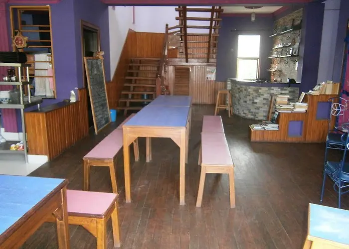 Hostel The Sparkling Turtle Backpackers *