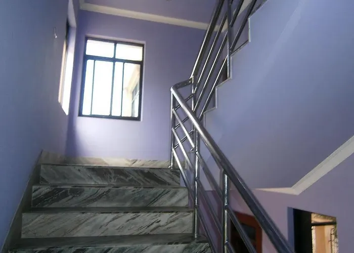Hostel The Sparkling Turtle Backpackers *